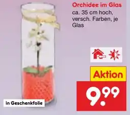 Netto Marken-Discount Orchidee im Glas Angebot