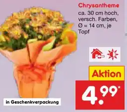 Netto Marken-Discount Chrysantheme Angebot