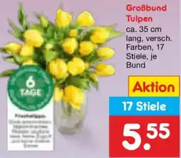 Netto Marken-Discount Großbund Tulpen Angebot