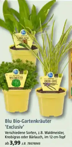 Bauhaus Blu Bio-Gartenkräuter 'Exclusiv' Angebot