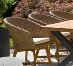 Bauhaus Diningsessel 'Pauline' Angebot