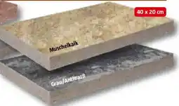 Bauhaus Terrassenplatten Terrassenplatte 'Olinda' 40 x 20 x 4 cm Angebot