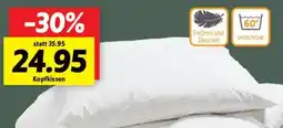 SCONTO Kopfkissen Angebot