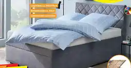 SCONTO Polsterbett Angebot