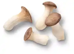 Kaufland K-Bio Bio-Kräuterseitlinge Angebot