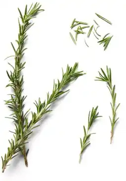 Kaufland Kräuter Angebot