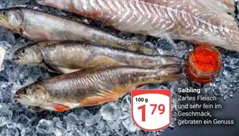 Globus Saibling Angebot