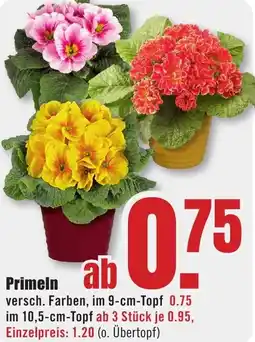 B1 Discount Baumarkt Primeln Angebot