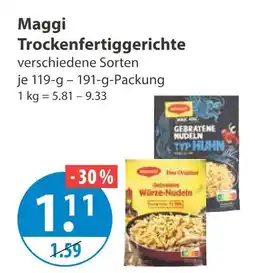 V Markt Maggi trockenfertiggerichte Angebot