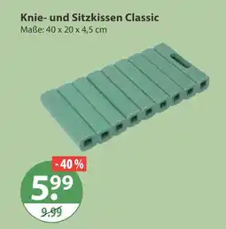 V Markt Knie- und sitzkissen classic Angebot