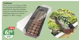 V Markt Treibhaus Angebot