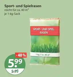 V Markt Sport- und spielrasen Angebot