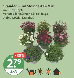 V Markt Stauden- und steingarten mix Angebot