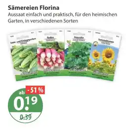 V Markt Florina salat- und einlegegurken Angebot