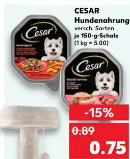 Kaufland Cesar hundenahrung Angebot