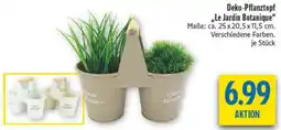 diska Deko-Pflanztopf ,,Le Jardin Botanique" Angebot