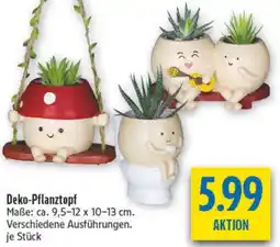 diska Deko-Pflanztopf Angebot
