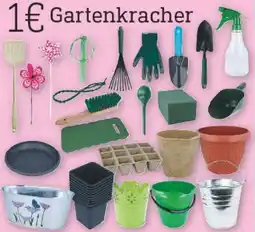 diska Gartenkracher Angebot