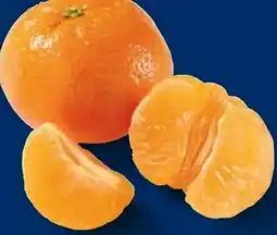 Lidl Mandarinen Angebot