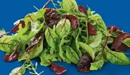 Lidl Mix-Salate Angebot
