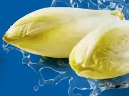 Lidl Chicoree Angebot