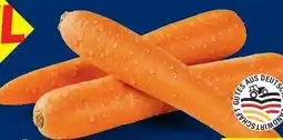 Lidl Möhren XXL Angebot