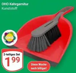 Globus OHO Kehrgarnitur Angebot