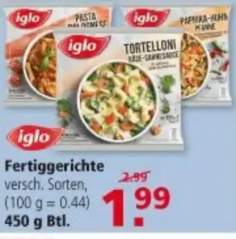 Multi Markt Iglo Fertiggerichte 450g Beutel Angebot