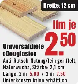 B1 Discount Baumarkt Universaldiele Douglasie Angebot