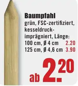 B1 Discount Baumarkt Baumpfahl Angebot