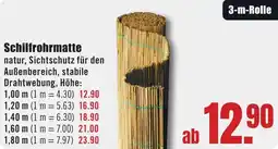 B1 Discount Baumarkt Schilfrohrma 1,00 m Angebot