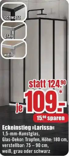 B1 Discount Baumarkt Eckeinstieg Larissa Angebot