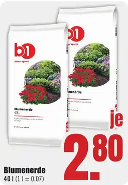 B1 Discount Baumarkt Blumenerde Angebot