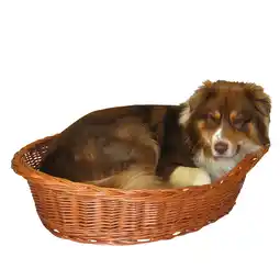 Netto Marken-Discount Silvio Design Ruhekorb mit Kissen 70 cm Angebot