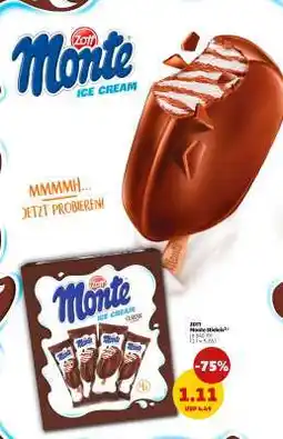 PENNY ZOTT Monte Steckerleis Angebot