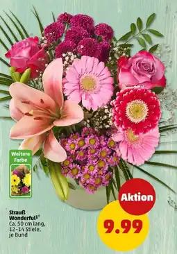 PENNY Strauß Wonderful Angebot