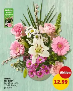 PENNY Strauß Für dich Angebot