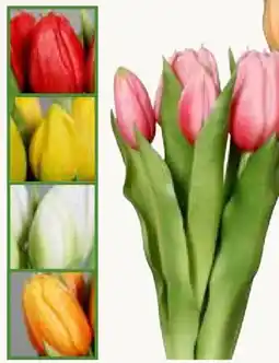 Pflanzen Kölle Kunst-Tulpenbund Real Touch Angebot