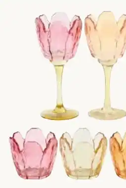 Pflanzen Kölle Windlicht Blüte Angebot