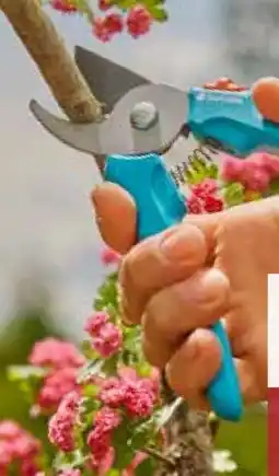 Pflanzen Kölle Gardena Gartenschere EasyCut Angebot