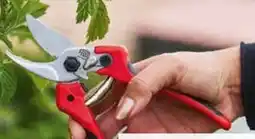 Pflanzen Kölle Felco Baumschere 171 M Angebot