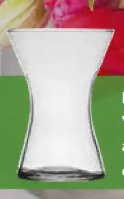 Pflanzen Kölle Vase Essential X-Shape Angebot