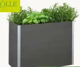 Pflanzen Kölle Kölle Hochbeet Petit Mateo Angebot