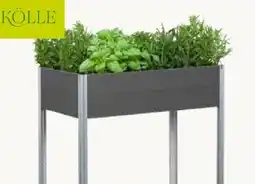Pflanzen Kölle Kölle Hochbeet Elias Angebot