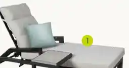 Pflanzen Kölle Kölle Rollliege Sumba Angebot