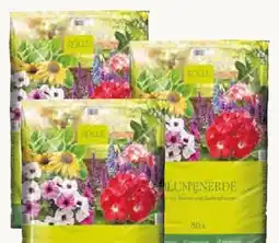 Pflanzen Kölle Kölle Blumenerde Angebot