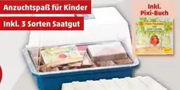 PENNY romberg Mini-Gewächshaus TOM TOMATE Set Angebot