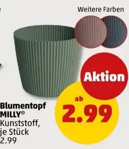 PENNY Blumentopf MILLY Angebot
