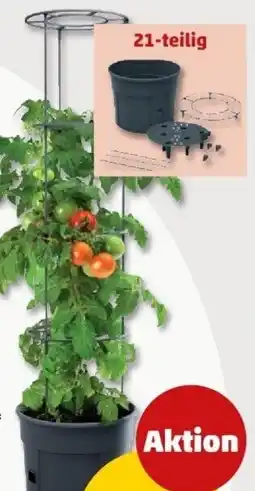 PENNY Pflanzkübel-Set für Tomaten Angebot