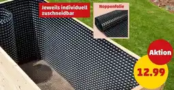 PENNY romberg Noppenfolie Angebot